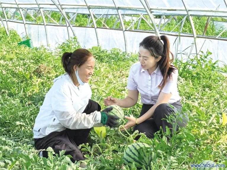 农行兴安扎赉特旗支行客户司理上门提供金融服务。（孔维洁 摄）